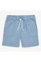  Chambray Union Stripe