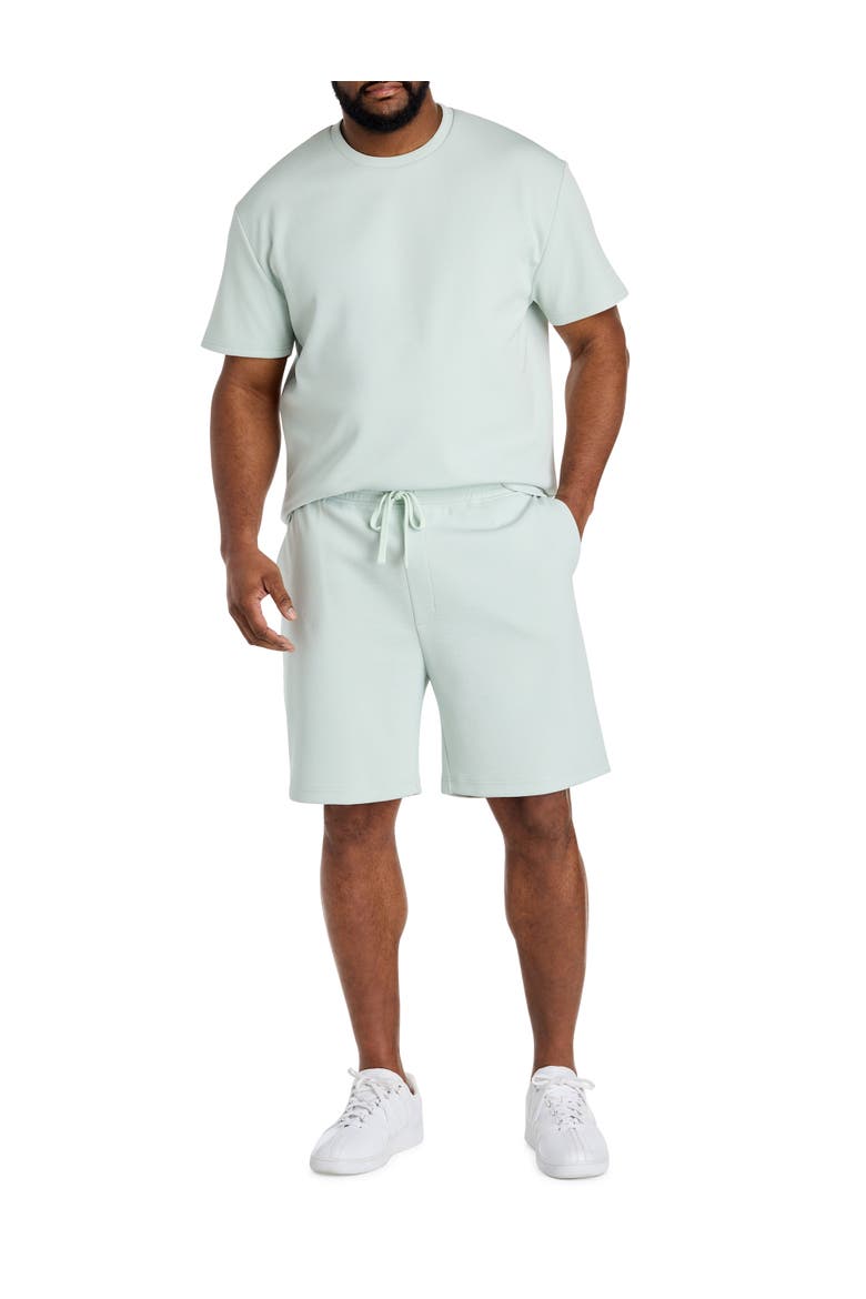 Big & Tall Textured T-Shirt, Alternate, color, MINT