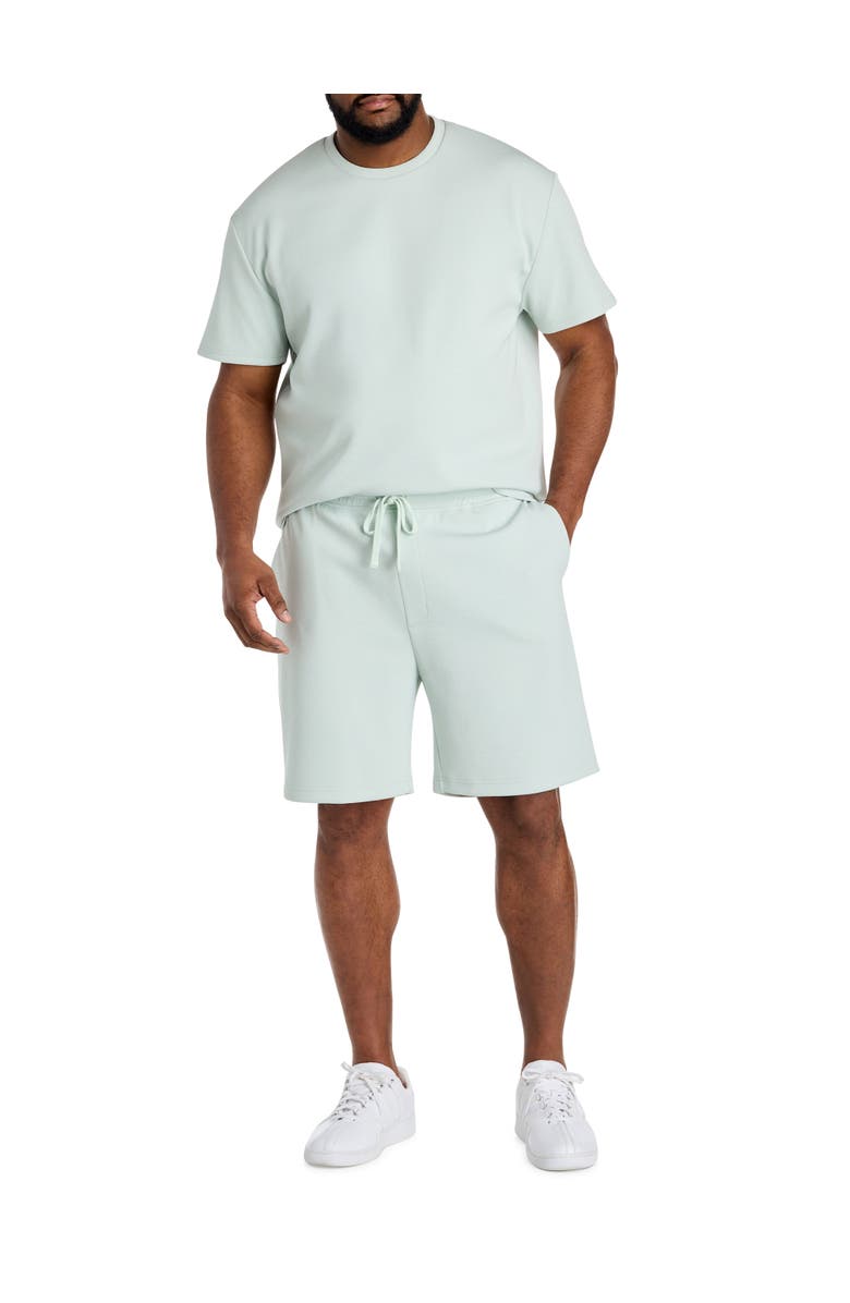 Society of One by DXL Big & Tall Textured T-Shirt, Alternate, color, Mint