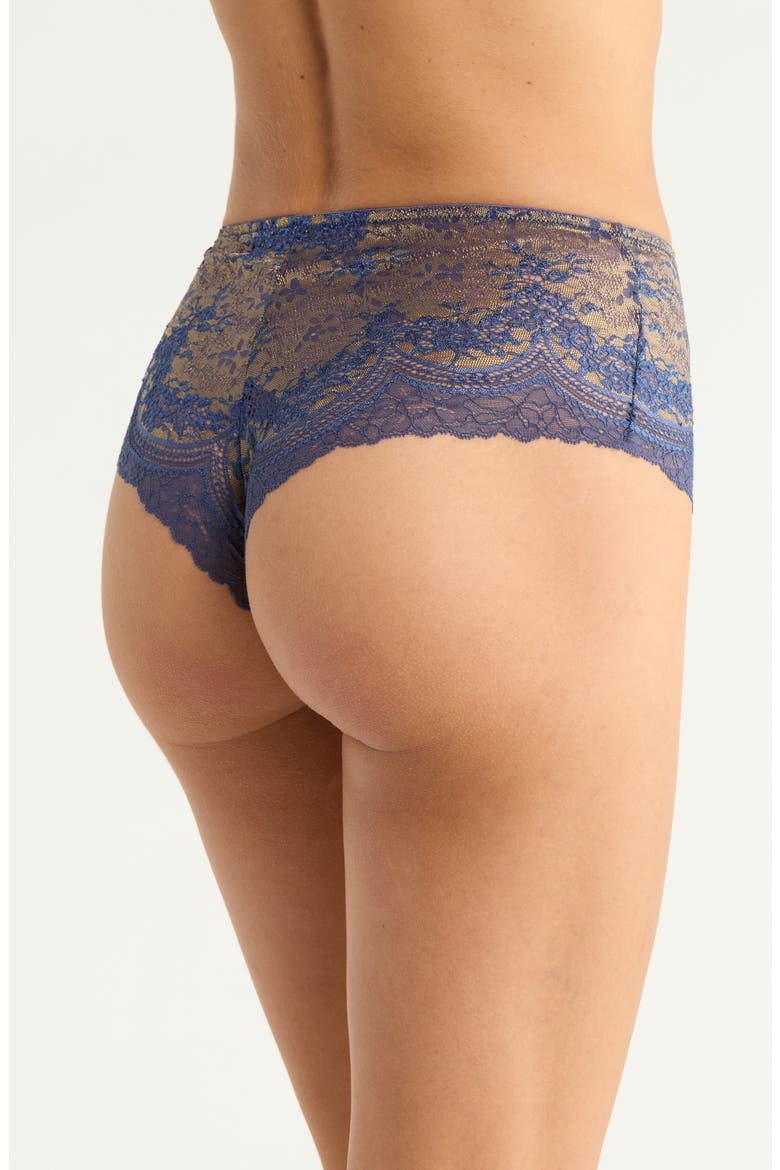 Lace Hipster Panties, Alternate, color, DENIM BRASS