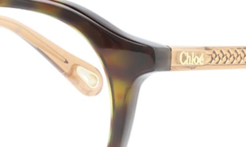 Chloé Round-frame Bio Acetate Optical Frames In Havana Brown Transparent