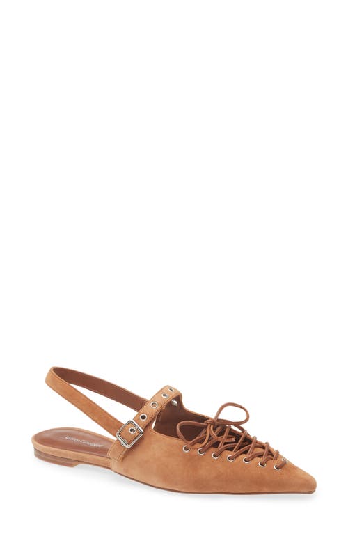 Jeffrey Campbell Geralt Pointed Toe Slingback Flat In Tan Suede