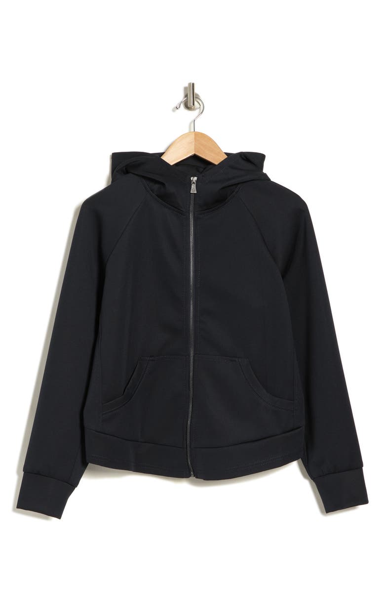 Democracy Hooded Front Zip Jacket, Alternate, color,