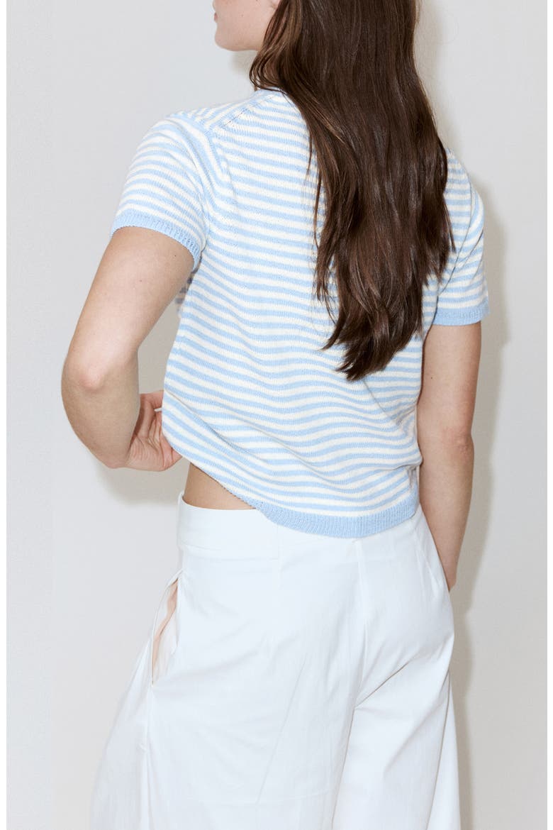 Striped Short Sleeved Sweater, Alternate, color, SKY BLUE