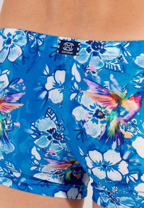 Hom Colibris Swim Shorts In Blue Print