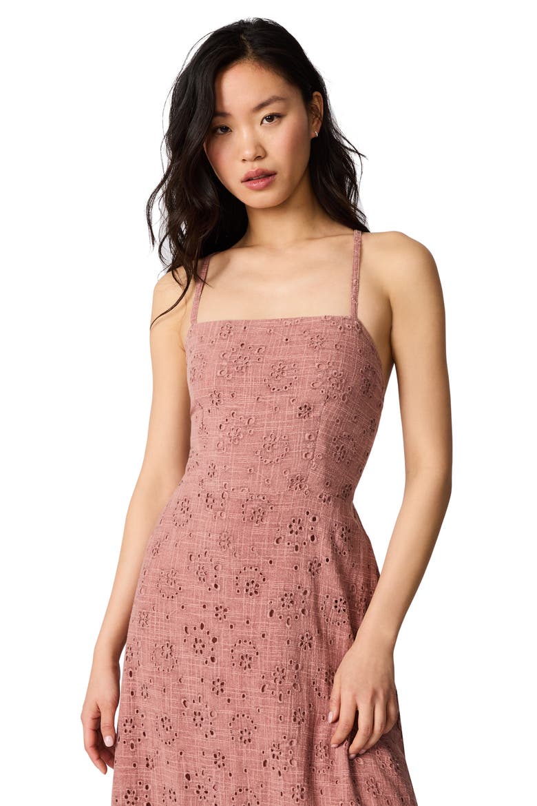 Riyan Eyelet Embroidery A-Line Dress, Alternate, color, BURNT CORAL