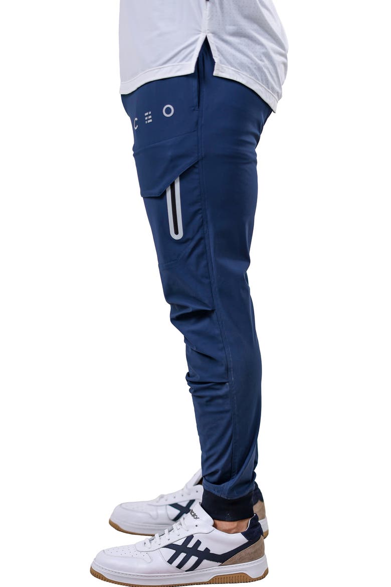 Performance Joggers, Alternate, color, BLUE