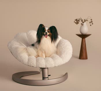 Shell<sup>™</sup> Pet Bed & Swaying Lounger