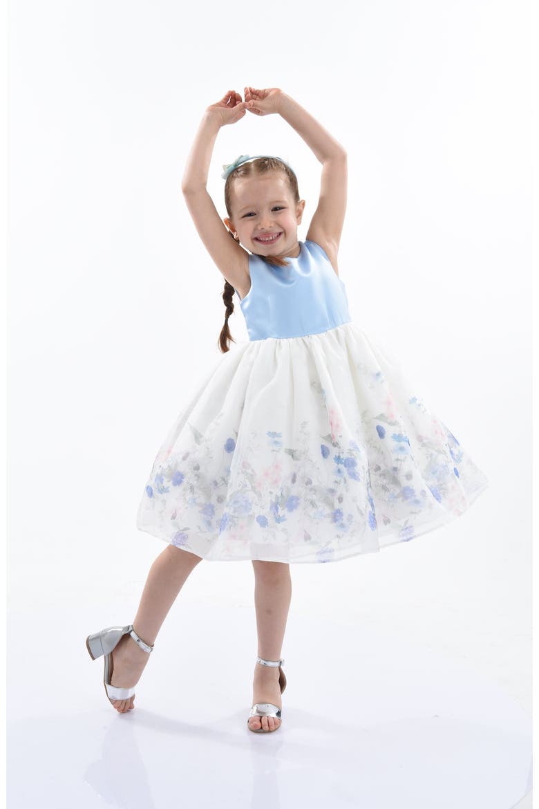 Mabel Floral Garden Organza Dress, Alternate, color, Blue