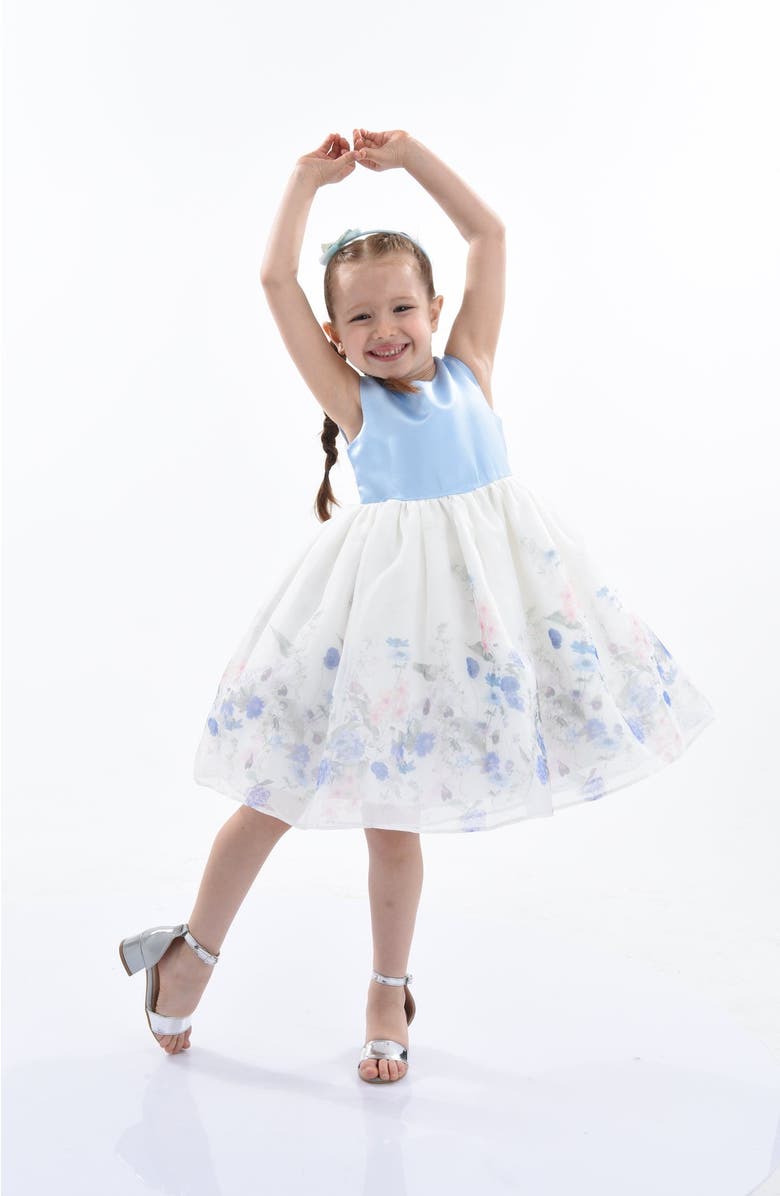 Tulleen Mabel Floral Garden Organza Dress, Alternate, color, Blue