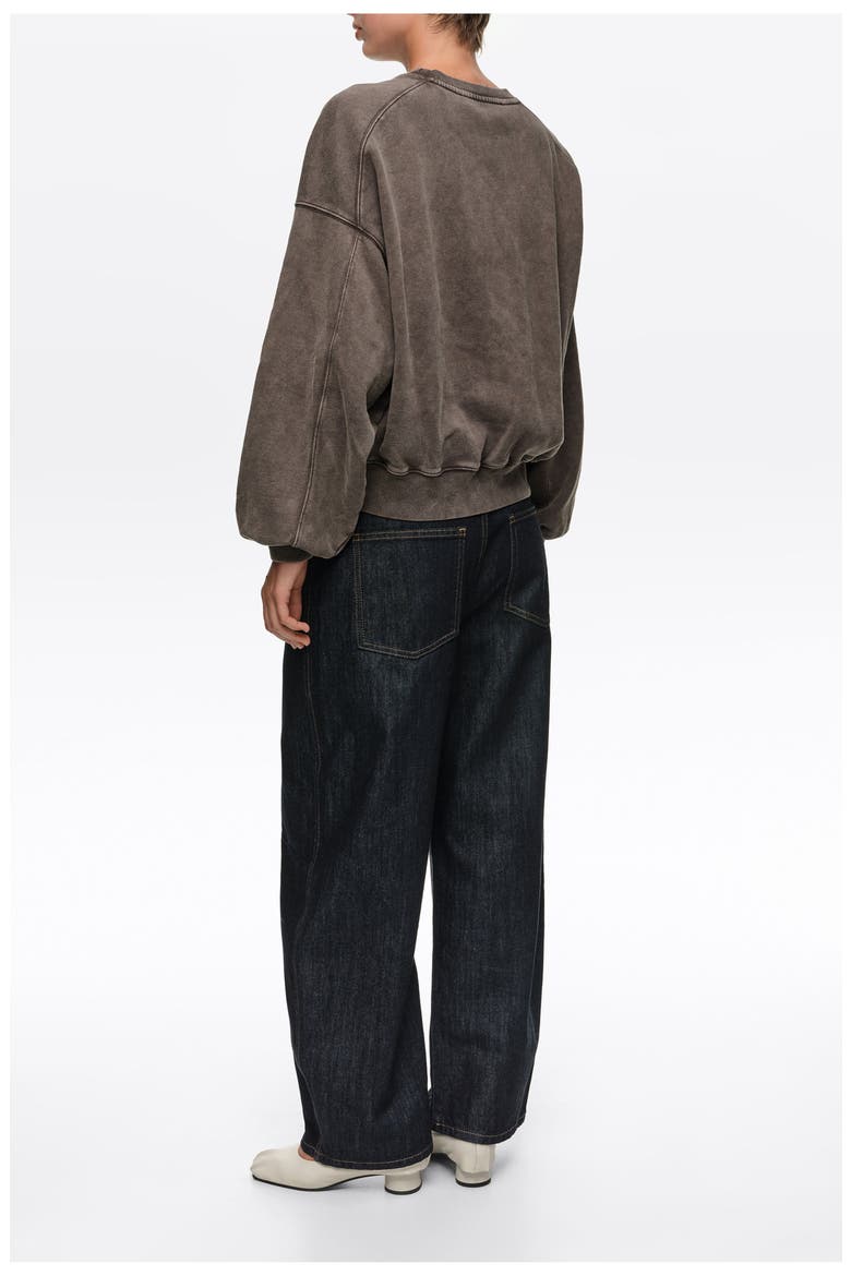 Balloon Fit Sweatshirt, Alternate, color, TAUPE