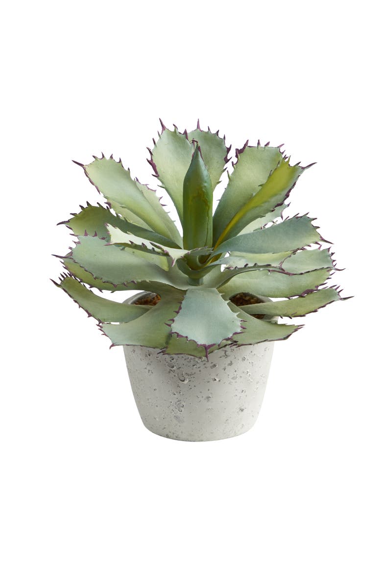 11-in Succulent Artificial Plant, Main, color, Green