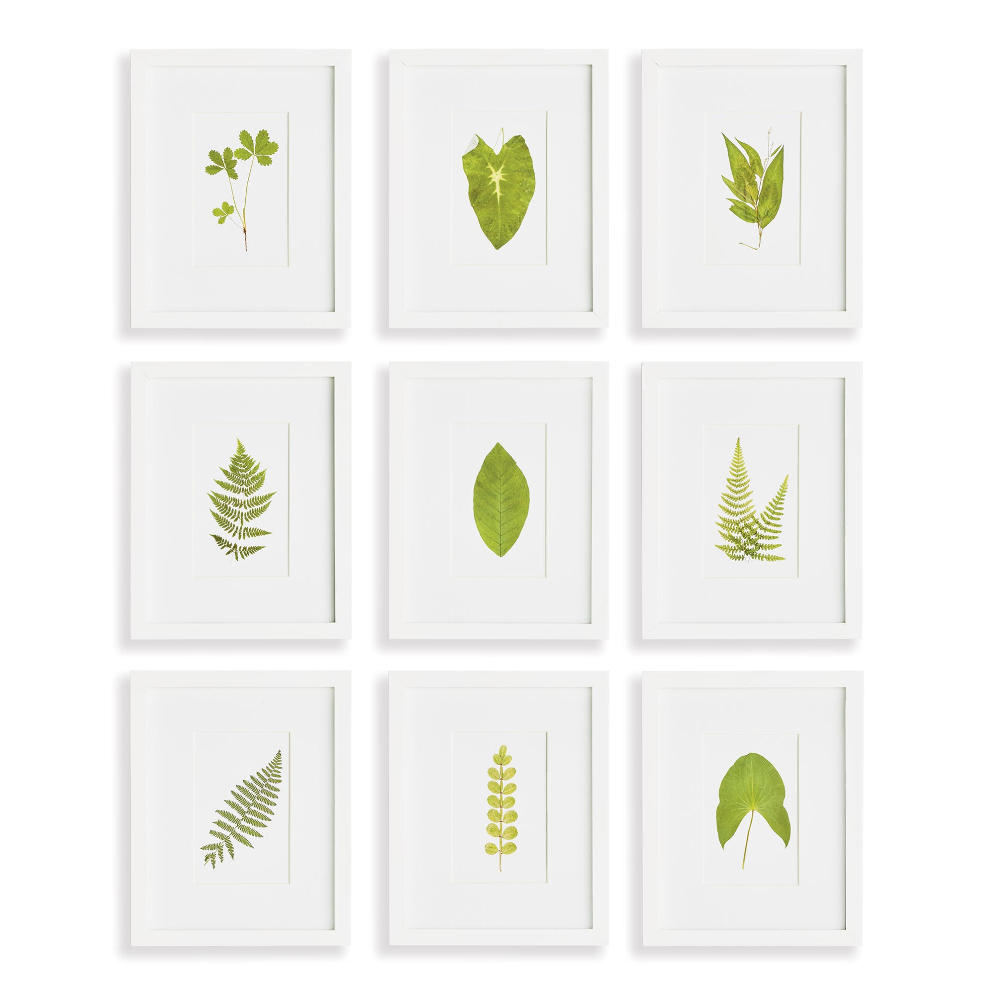 selected Green