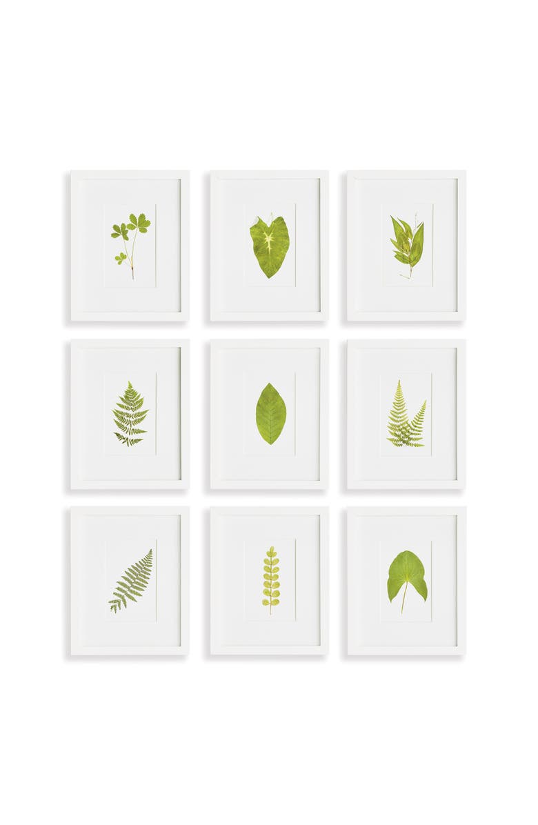 Napa Home & Garden Green Leaf Petite Prints St/9, Main, color, 