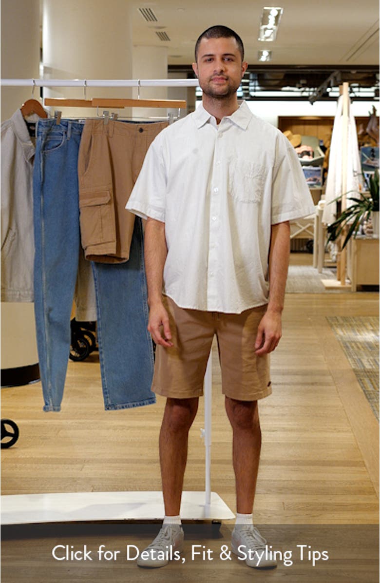 Bigwig Jamie Stripe Short Sleeve Button-Up Shirt, sales video thumbnail