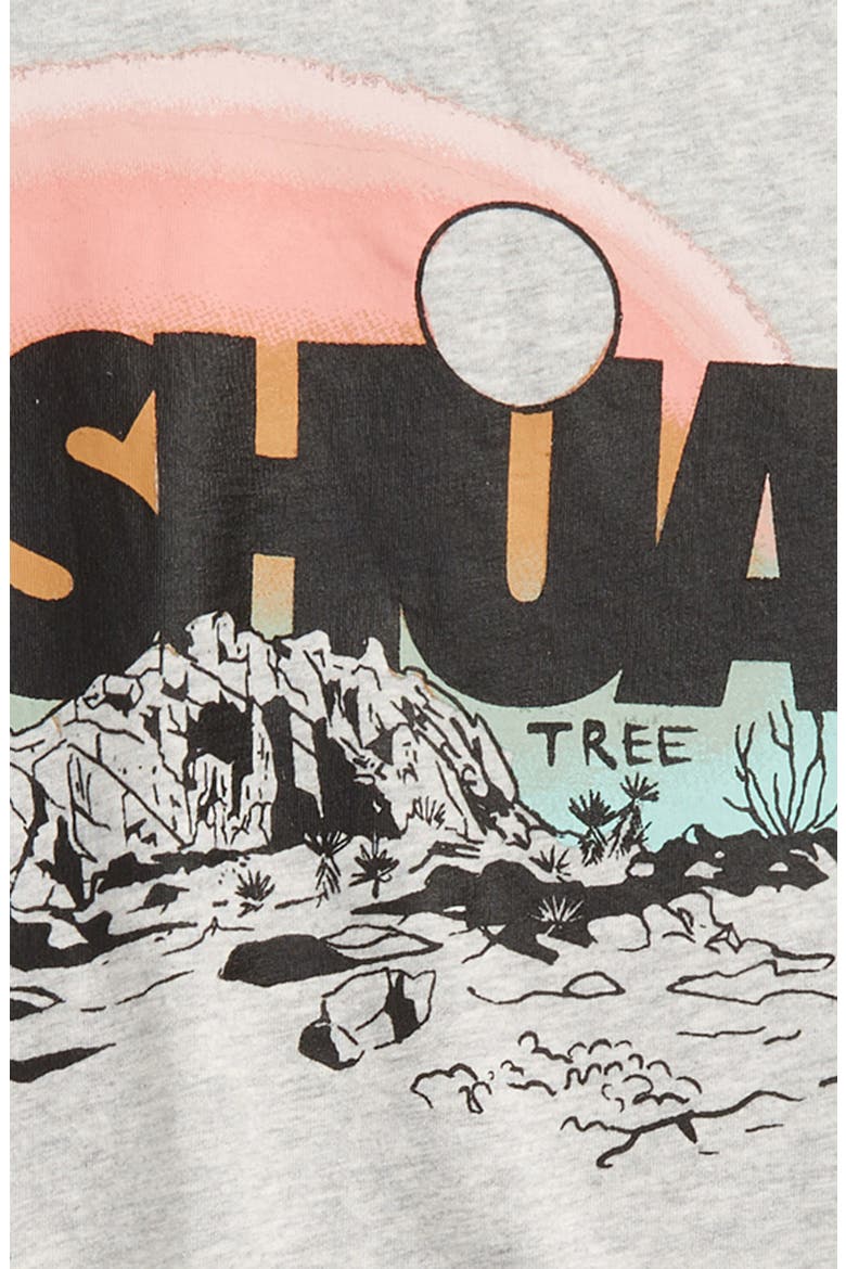 Kids' Relaxed Fit Graphic Tee, Alternate, color, GREY JOSHUA TREE