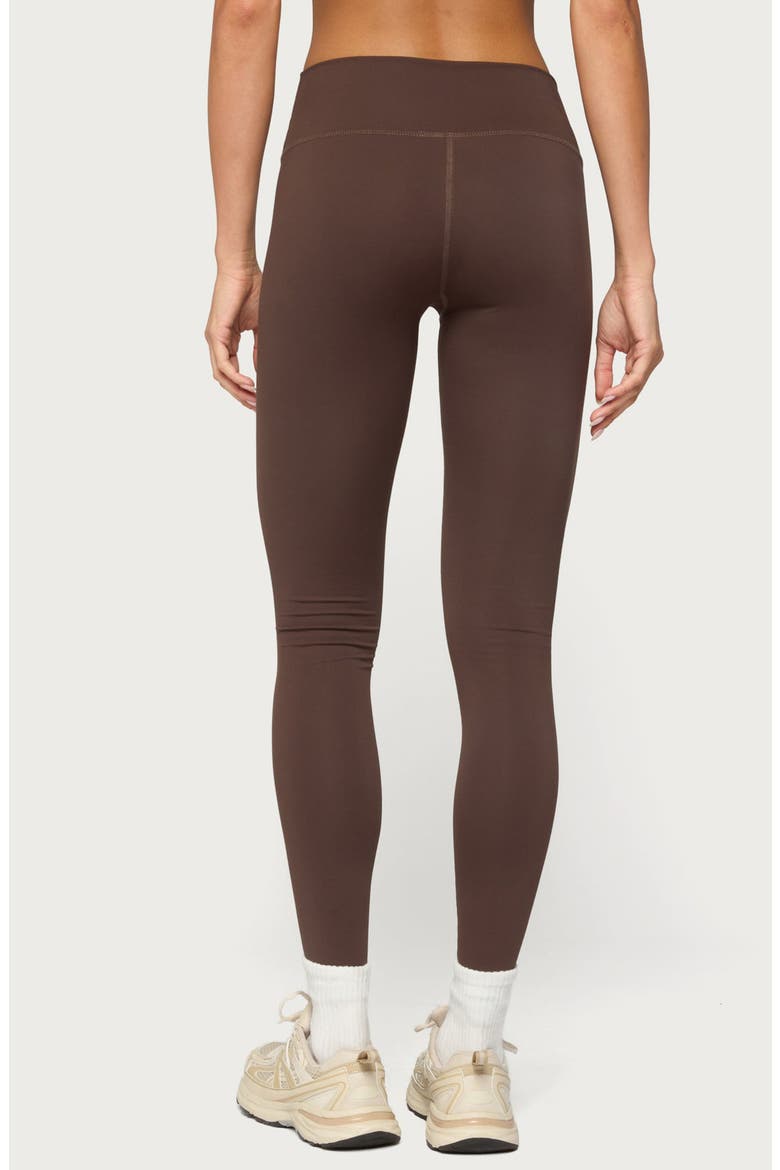 Faery High Waist Leggings, Alternate, color, BROWN