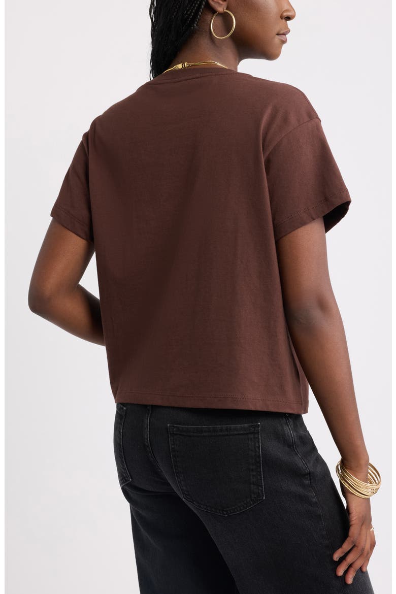 Favorite T-Shirt, Alternate, color, BROWN CHICORY