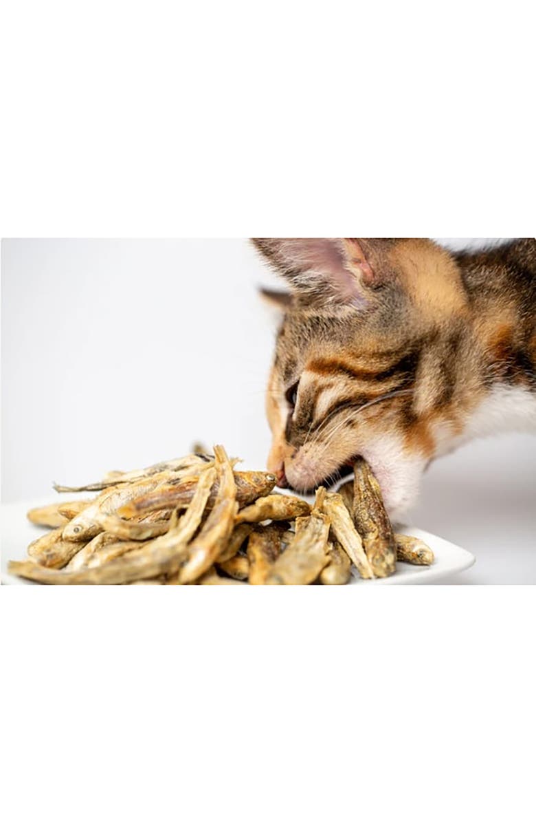 Scout & Zoe's Munchworthy Minnows, 1oz Dog & Cat Treats, Freeze Dried, Alternate, color, Multicolored