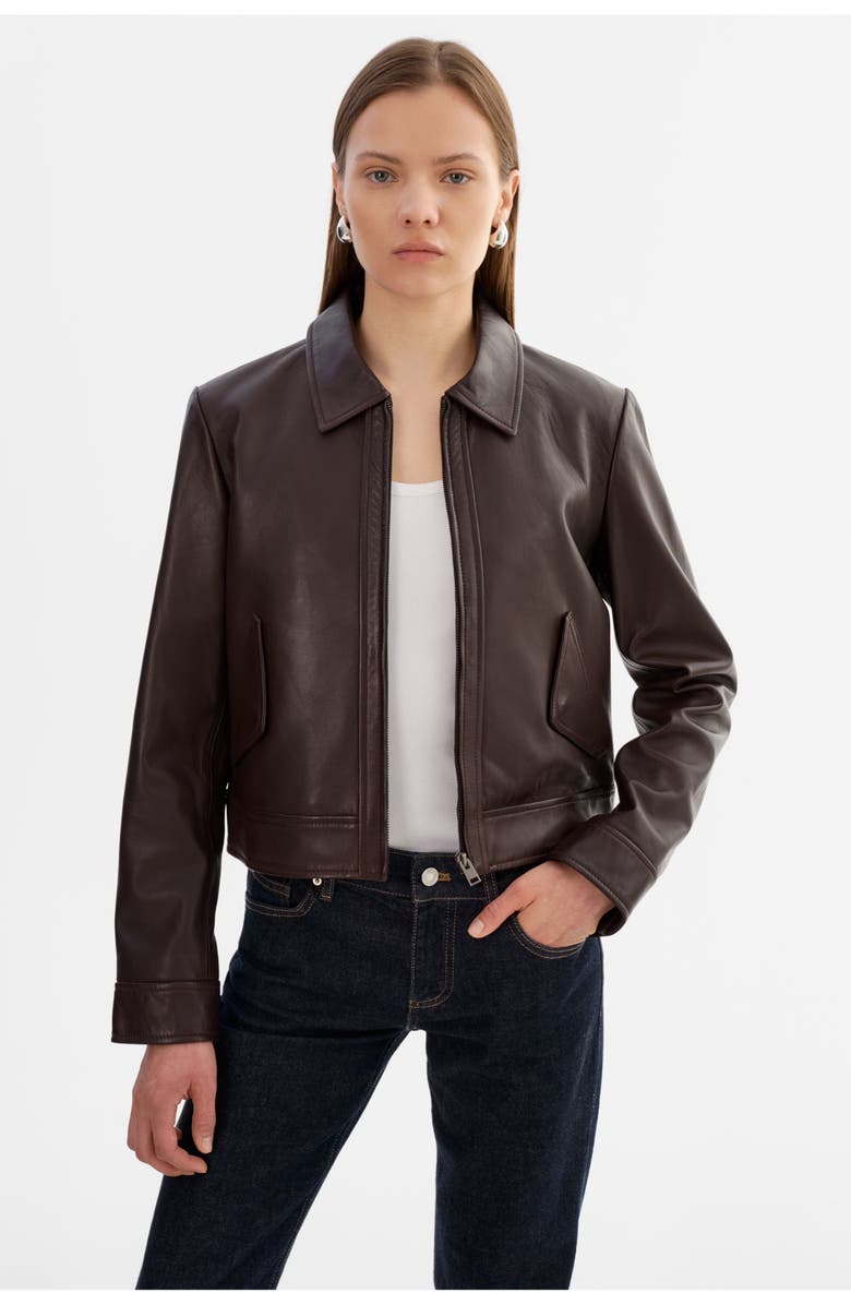 LAMARQUE Tess | Leather Jacket, Alternate, color, Dark Brown