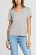 The Standard Stitch The Organic Cotton V-Neck Tee