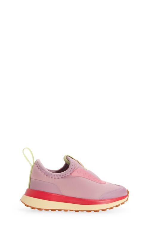 Native Shoes Robbie Dash Slip-on Sneaker In Pink