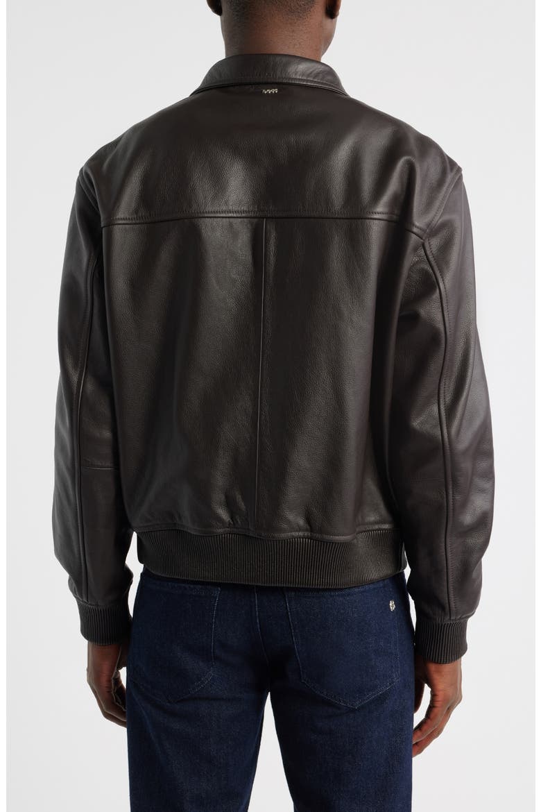 Mander Bomber Jacket, Alternate, color, DARK BROWN