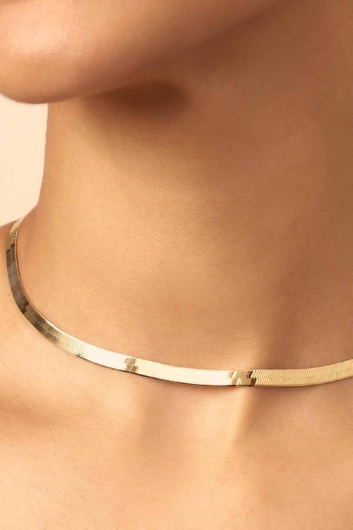 Oradina 14k Gold Park Avenue Statement Herringbone Choker In Yellow Gold