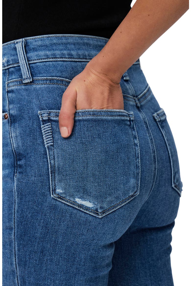 Gemma High Waist Skinny Jeans, Alternate, color, AIMEEDISHM