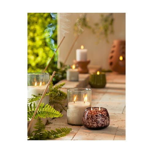 Tag Org Citro Tomato Candle Light Green Perfect For Spring Summer In Green