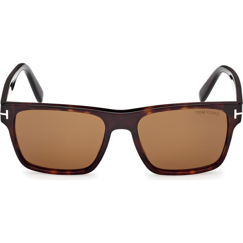 Tom Ford Calder 55mm Square Sunglasses In Shiny Dark Havana Eco
