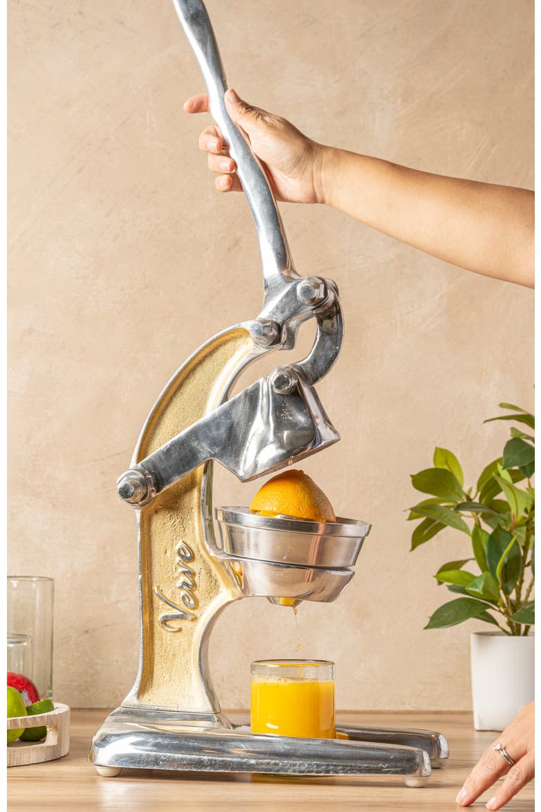 Juicer Large Gold, Alternate, color, GOLD