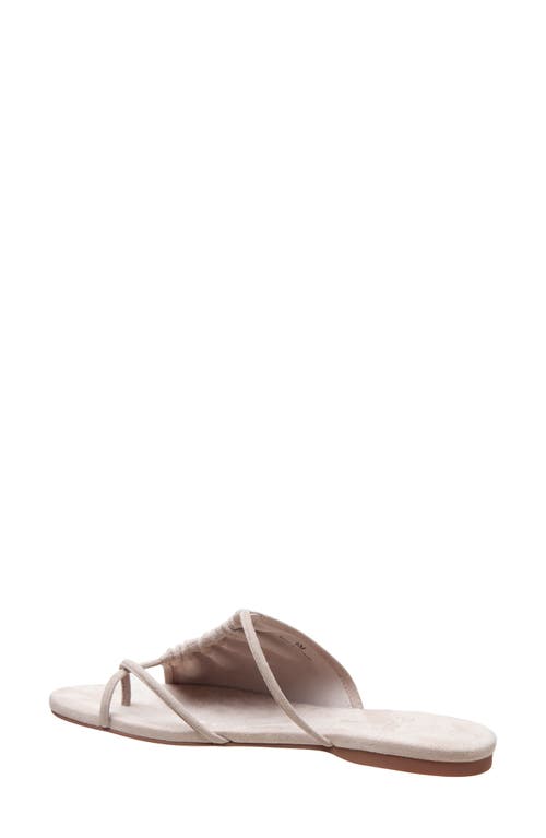 Linea Paolo Lane Toe Loop Sandal In Stone