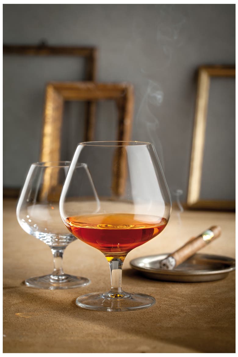Michelangelo Masterpiece 13.25 oz. Brandy/Cognac Snifters, Set of 4, Alternate, color, CLEAR