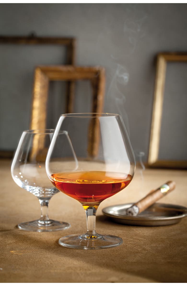 Luigi Bormioli Michelangelo Masterpiece Set of 4 Brandy Snifters, Alternate, color, Clear