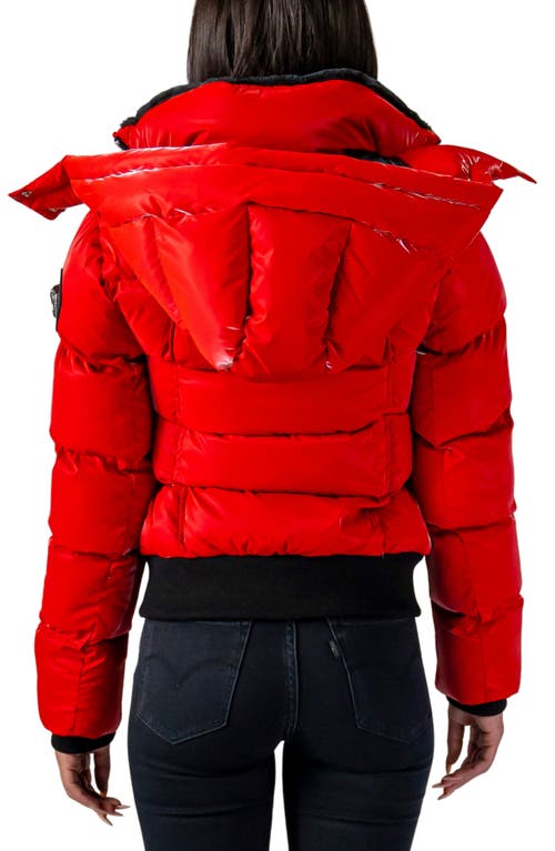 Woodpecker Woody Water Resistant Faux Fur Lined Hooded Quilted Puffer Jacket In All Wet Red