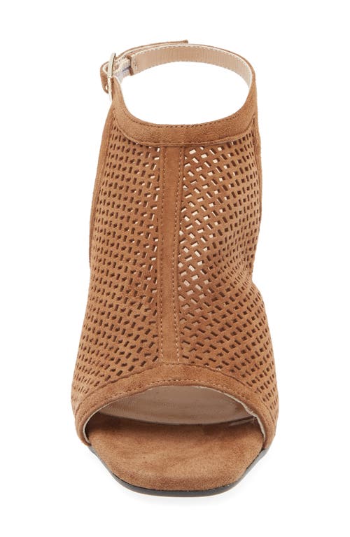 Cordani Illia Ankle Strap Sandal In Brown