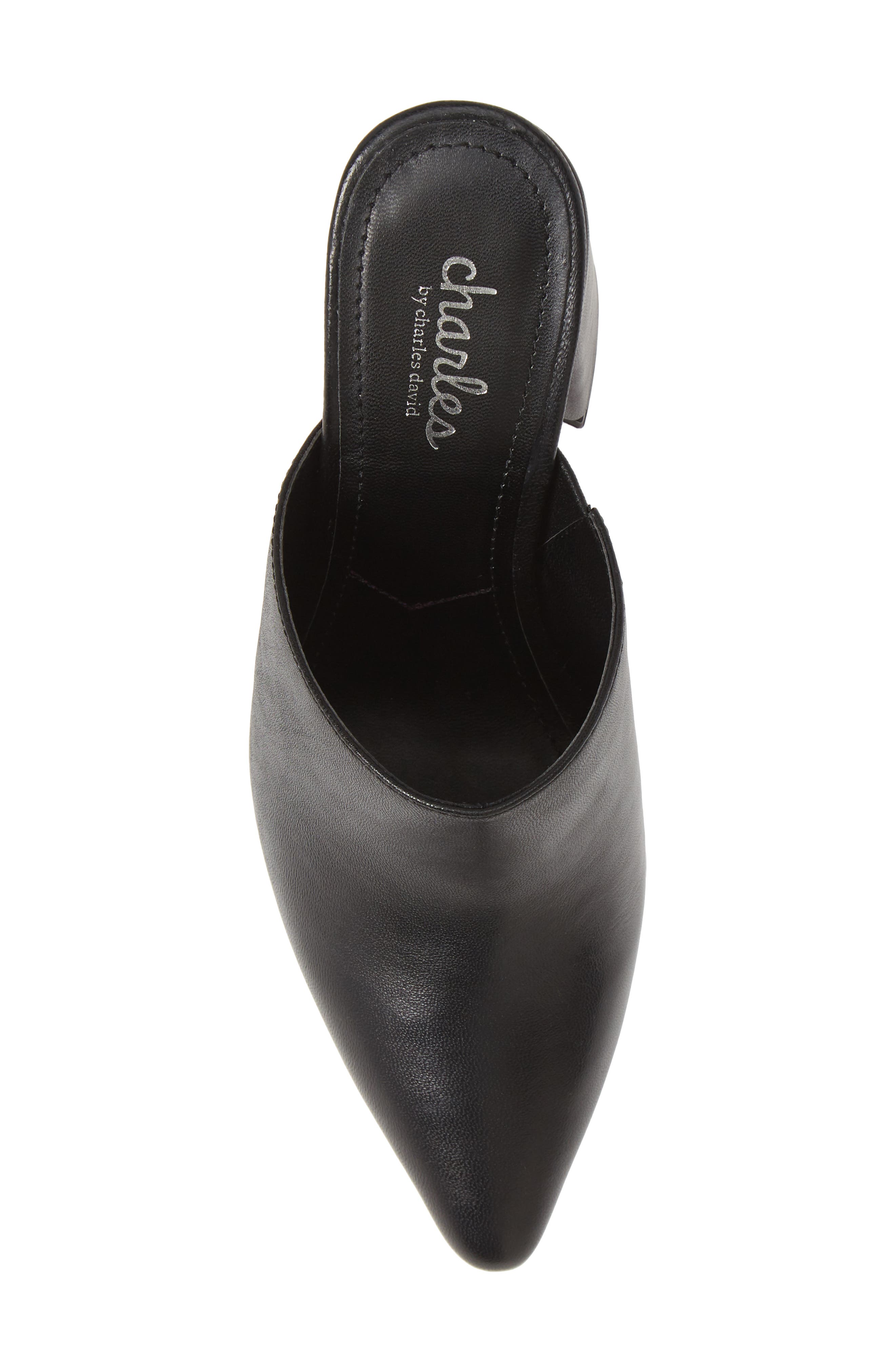 Charles by Charles David Valiant Mule, Alternate, color, 