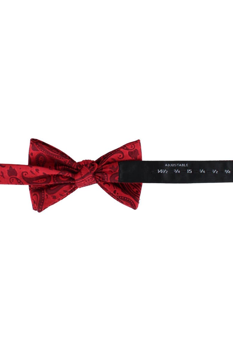 Banbury Tone on Tone Paisley Silk Bow Tie, Alternate, color, Red