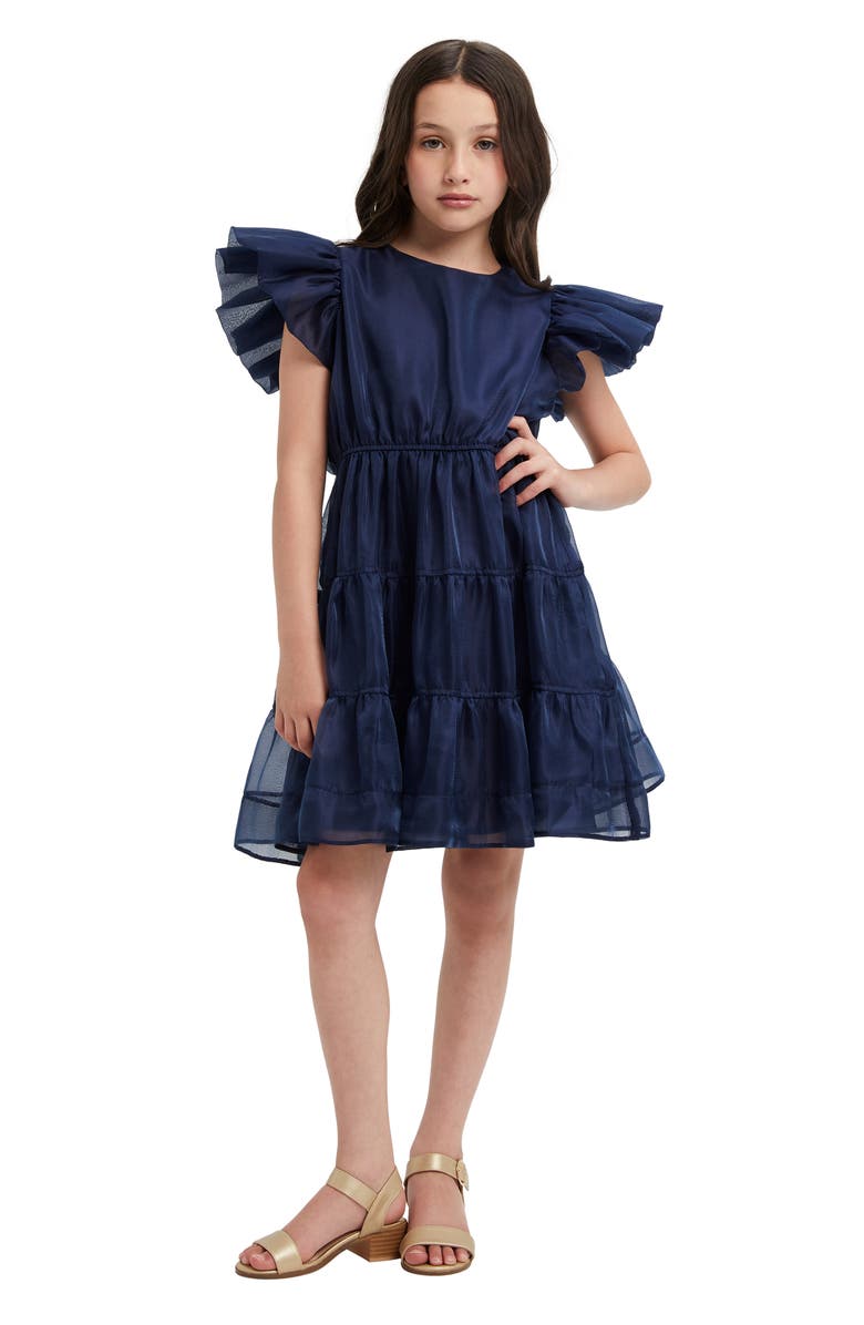 Bardot Junior Kids' Oshin Organza Dress, Alternate, color,