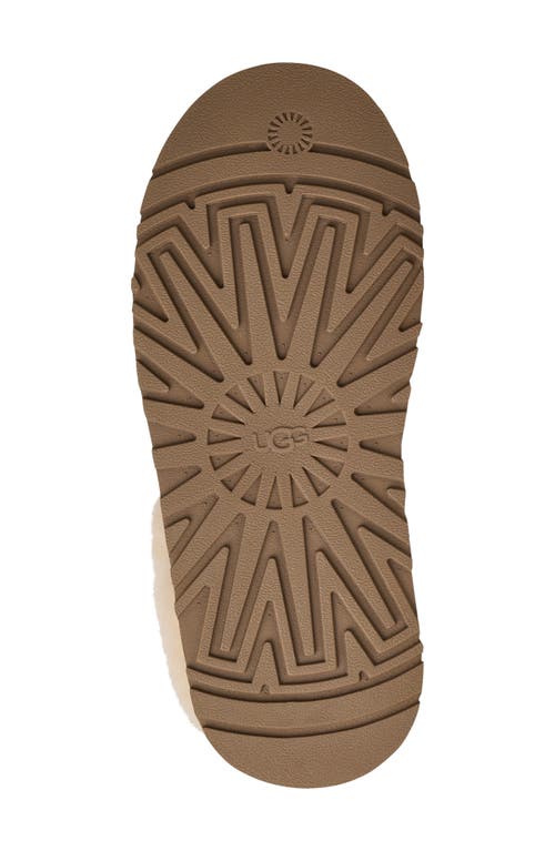 Ugg(r) Tazzelle Genuine Shearling Collar Slipper In Brown