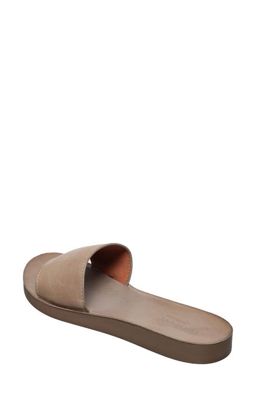 Antelope Adica Slide Sandal In Grey