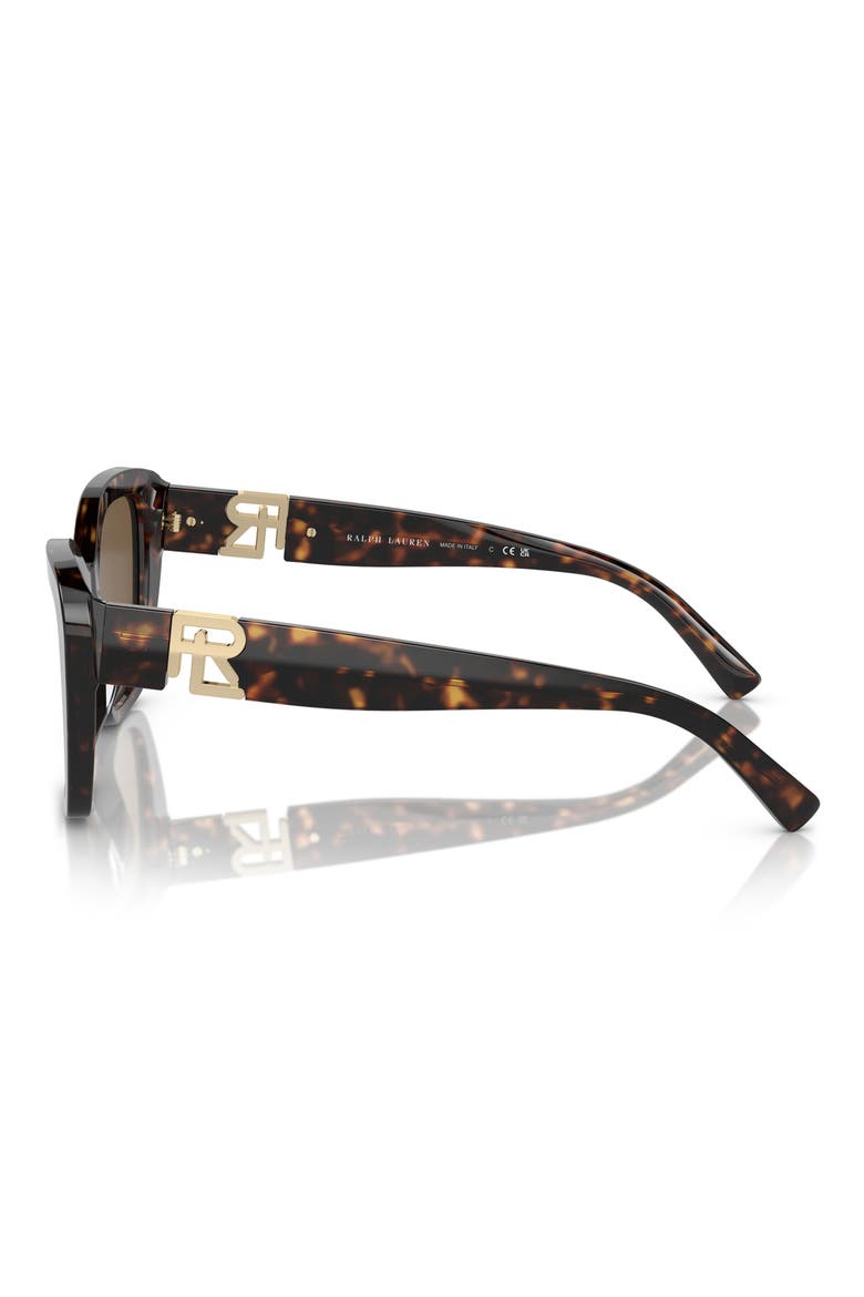 55mm Isabel Gradient Butterfly Sunglasses, Alternate, color, HAVANA / BROWN