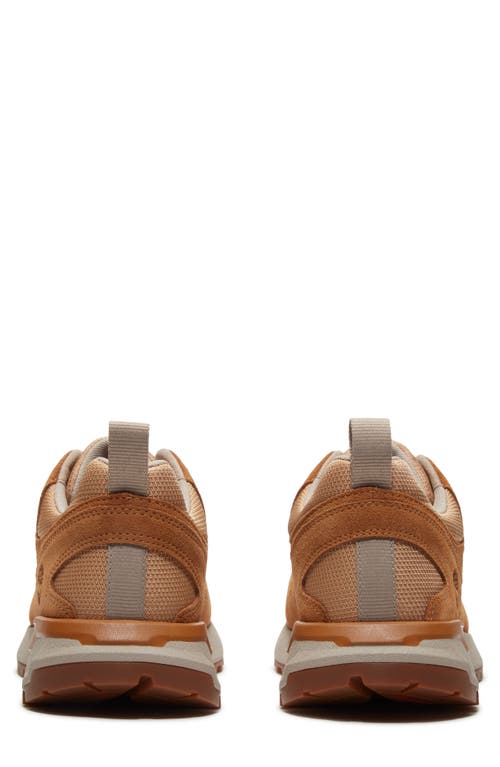 Timberland Voyager Park Sneaker In Wheat Mesh