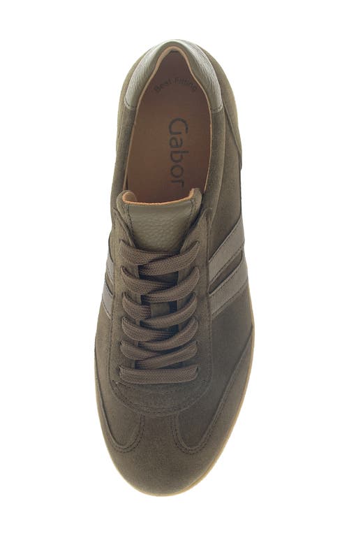 Gabor 63.300 Sneaker In Multi
