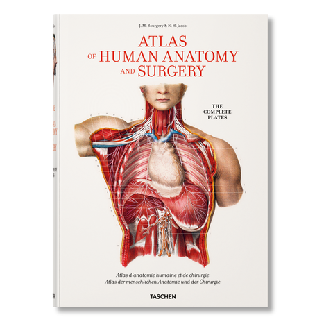 Bourgery. Atlas of Human Anatomy and Surgery
