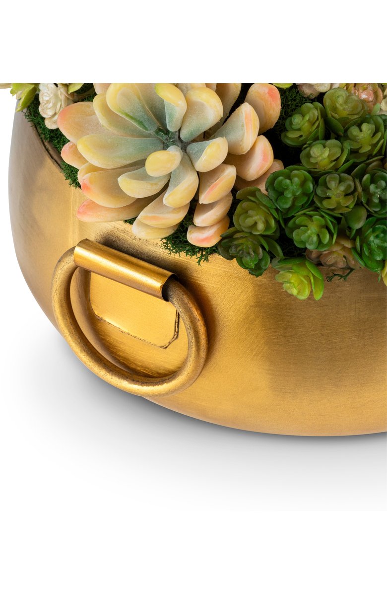 CocoBella Blaise Succulent Arrangment, Alternate, color,