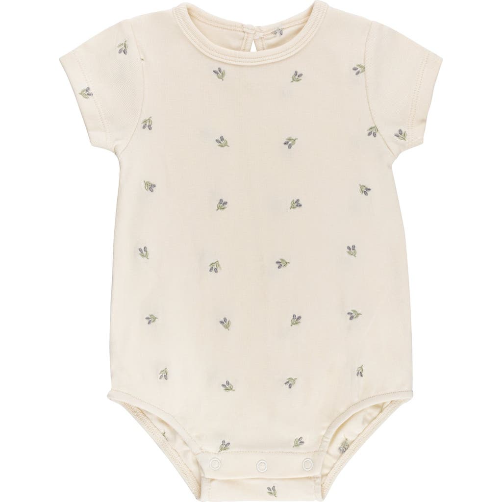 Ely's & Co. Embroidered Collection In Neutral