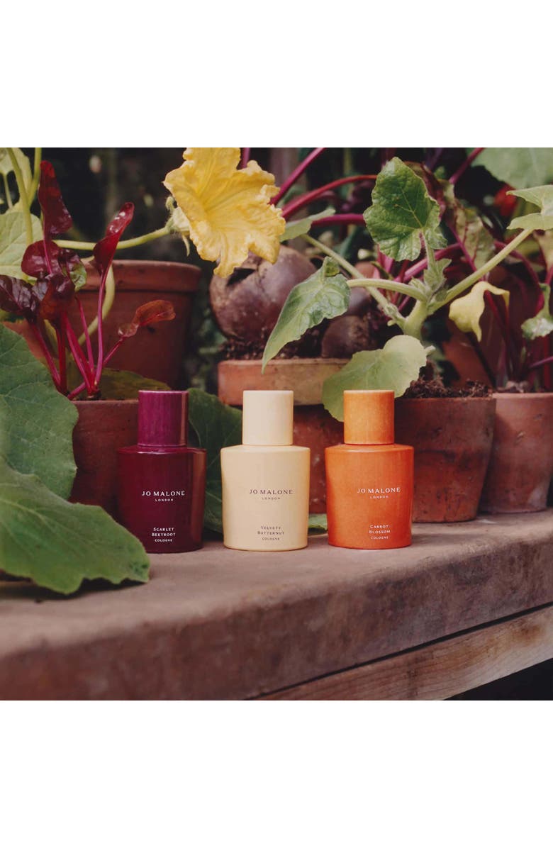 Jo Malone London<sup>™</sup> Scarlet Beetroot Cologne, Alternate, color, 