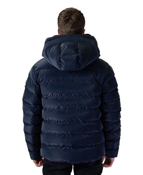 Woodpecker Sparrow Medium Weight Coat In Blue